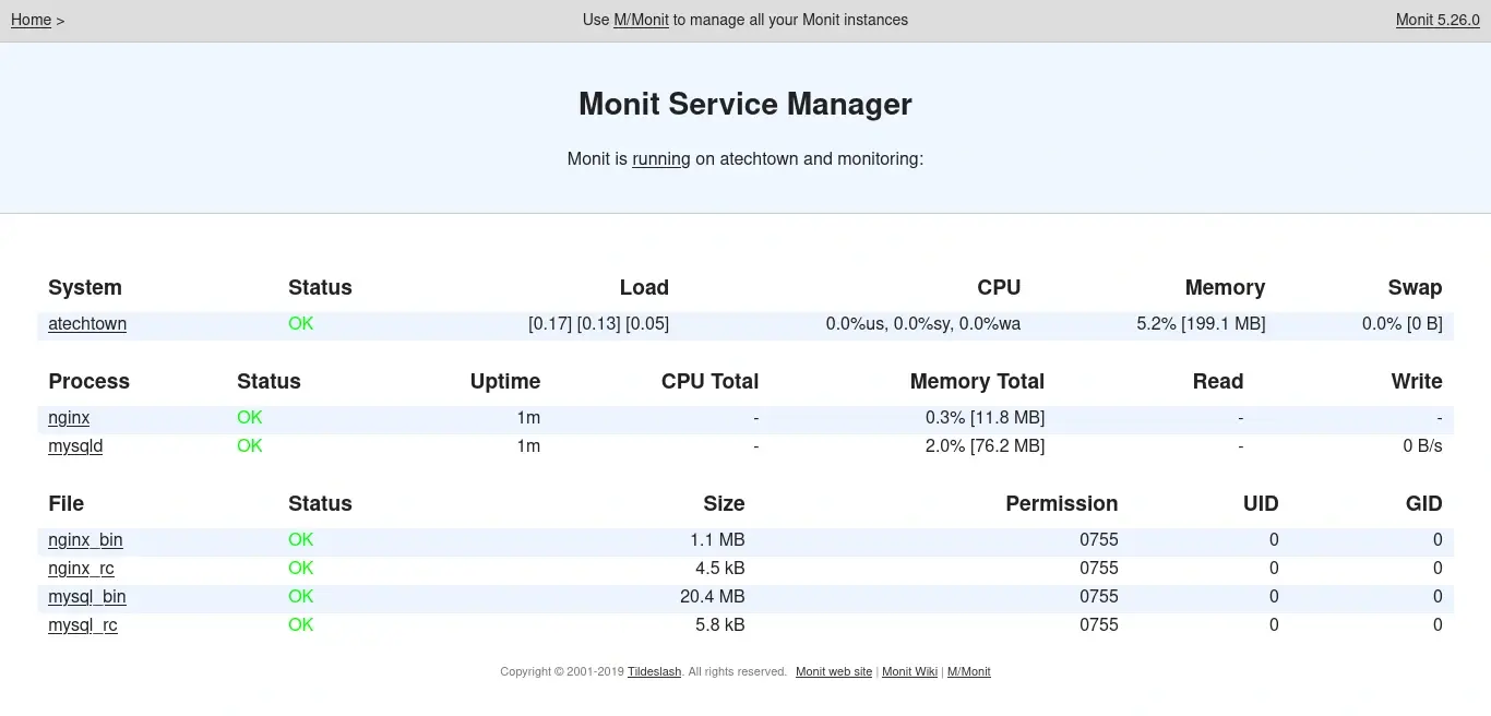 Monit free download