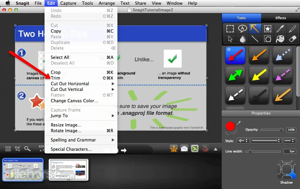 TechSmith Snagit for Mac Free Download