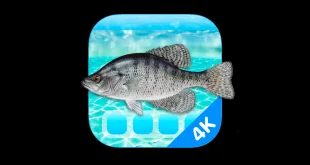 Aquarium 4K – Live Wallpaper for mac